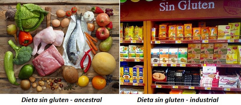 Tipos Dieta Sin Gluten