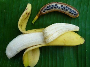 Fruta plátano