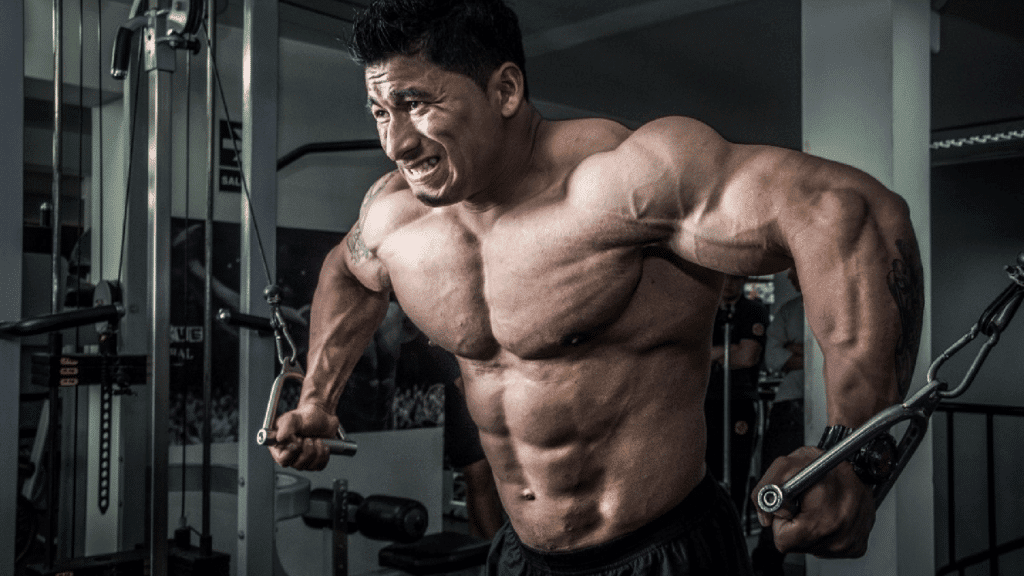 Planes de entrenamiento para desarrollar músculo