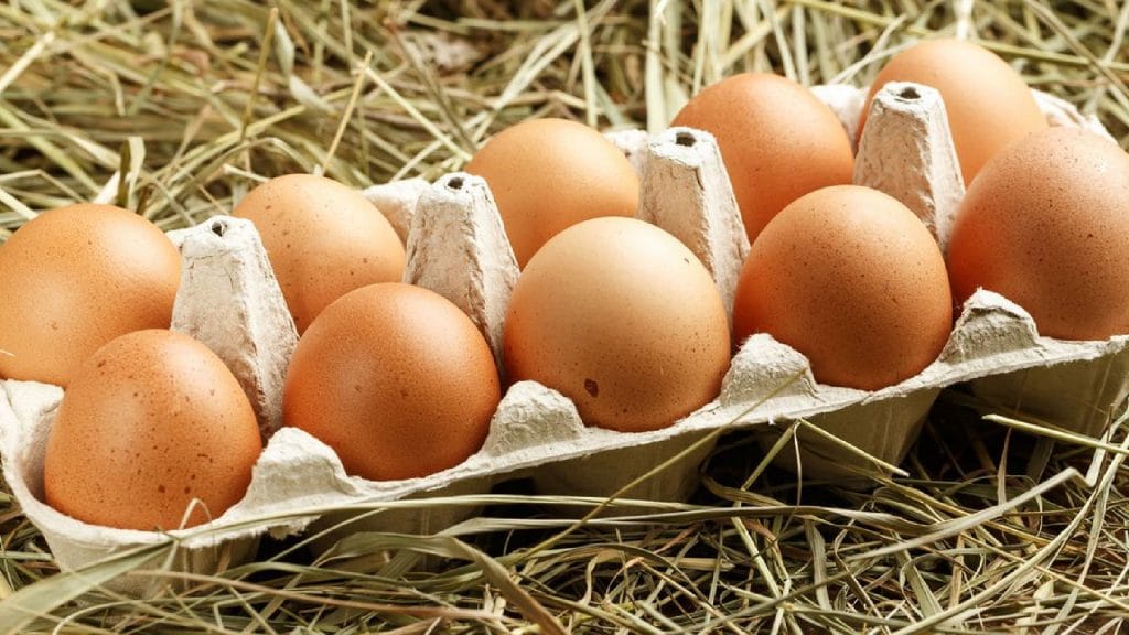 Los alimentos que te darán vitalidad