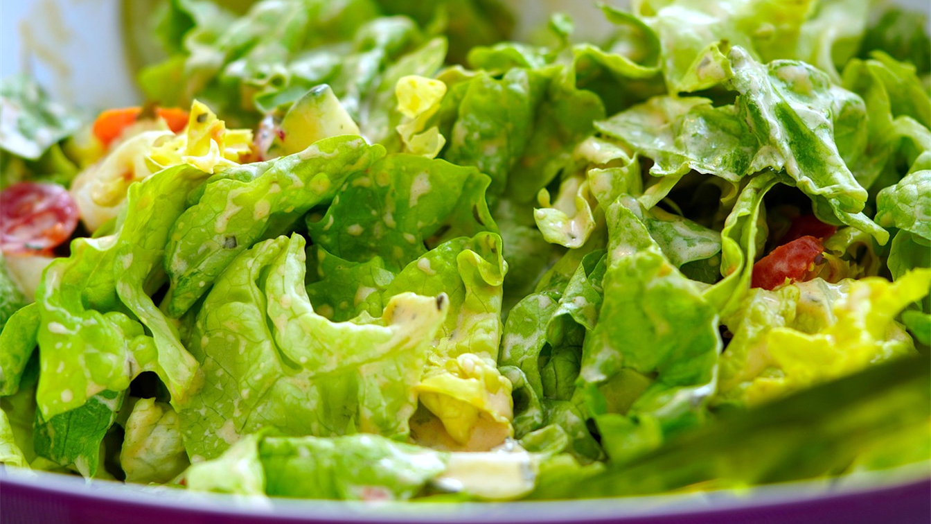 Ensalada fresca de lechuga y hortalizas