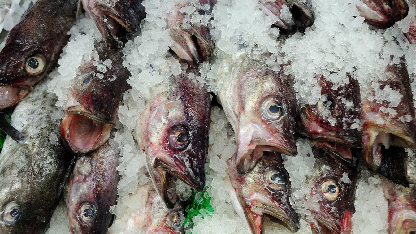 Pescado fresco sobre hielo en un puesto de mercado