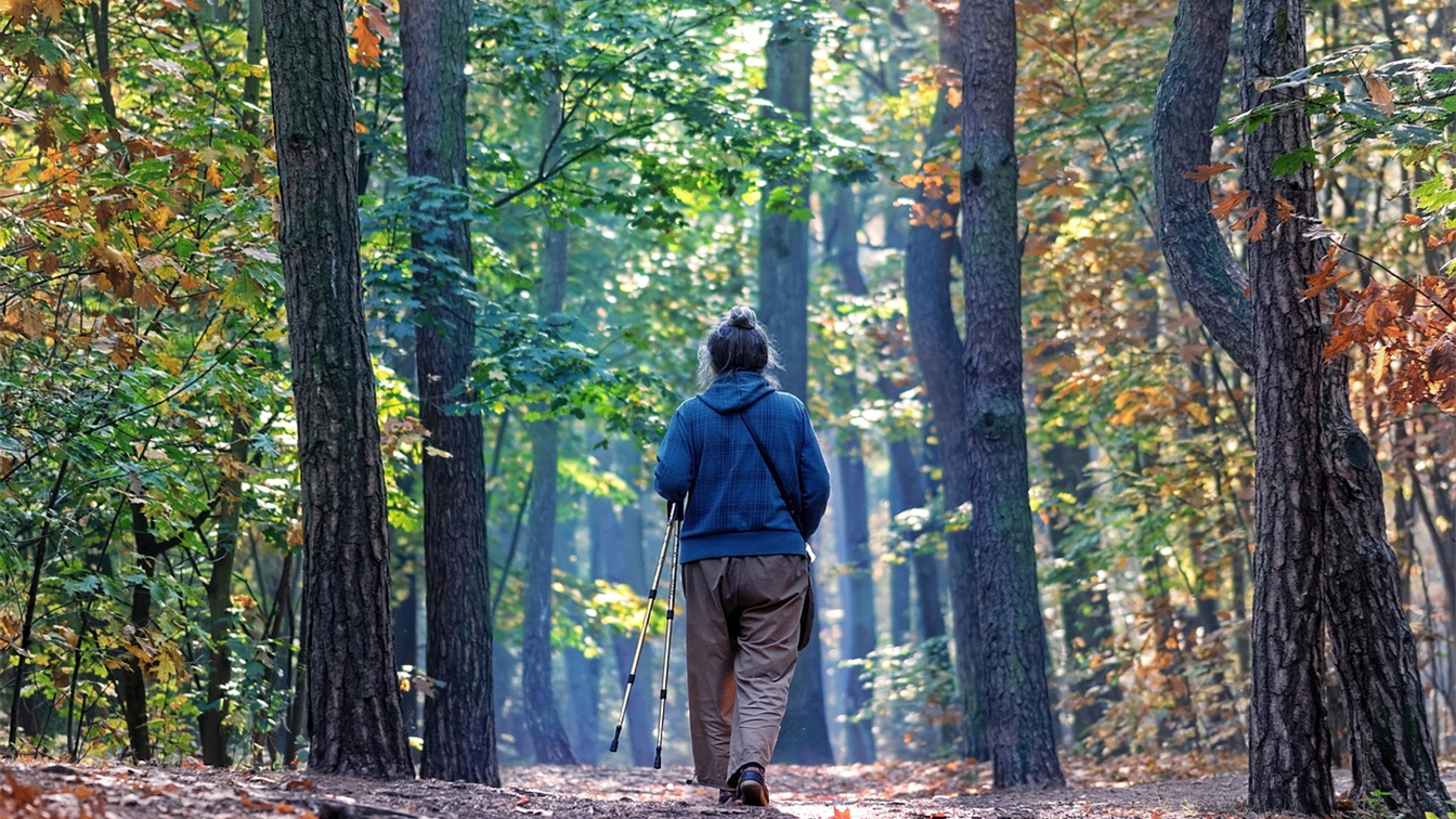 Mujer caminando con bastones por un bosque en otoño