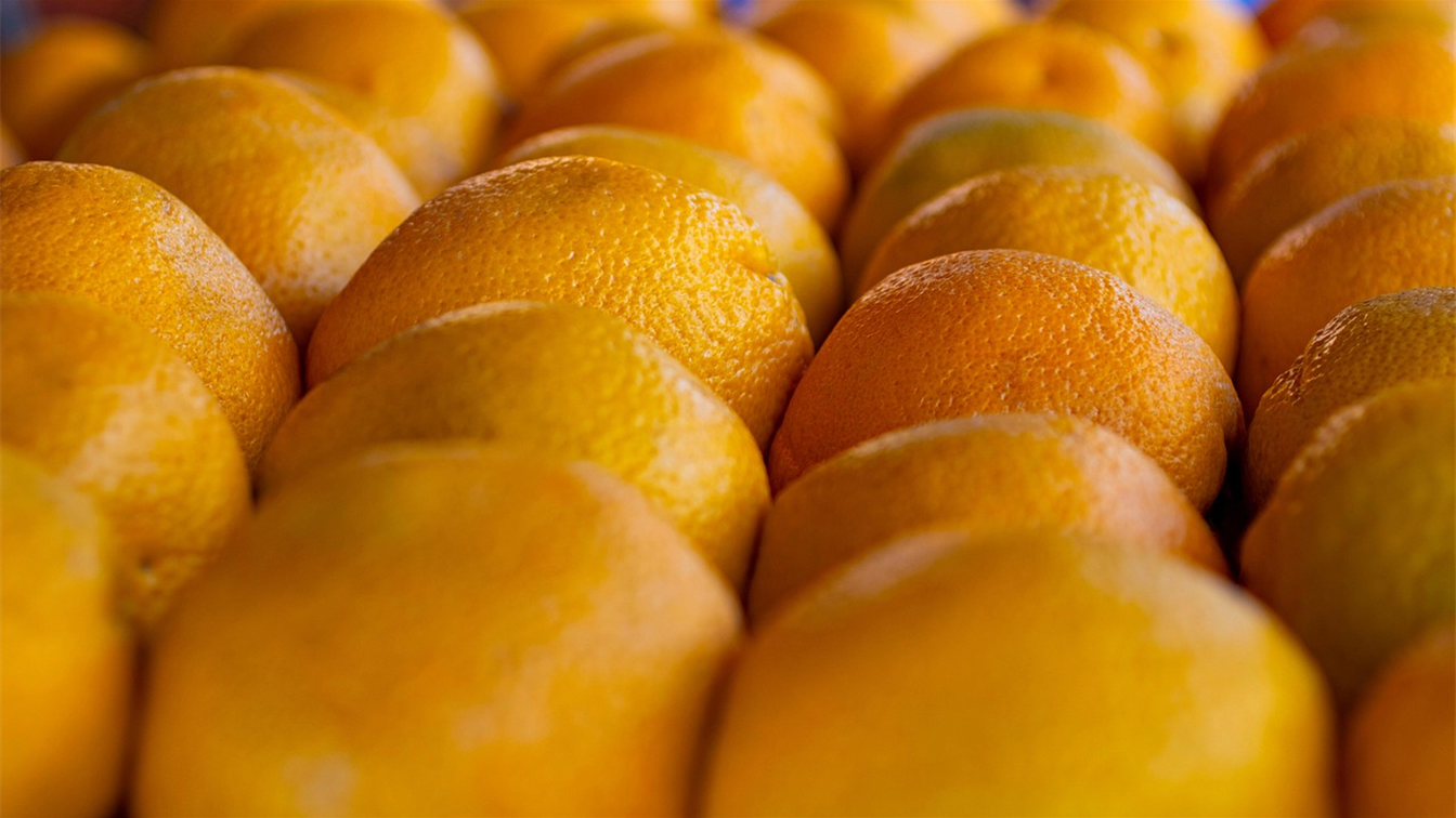 Naranjas frescas maduras