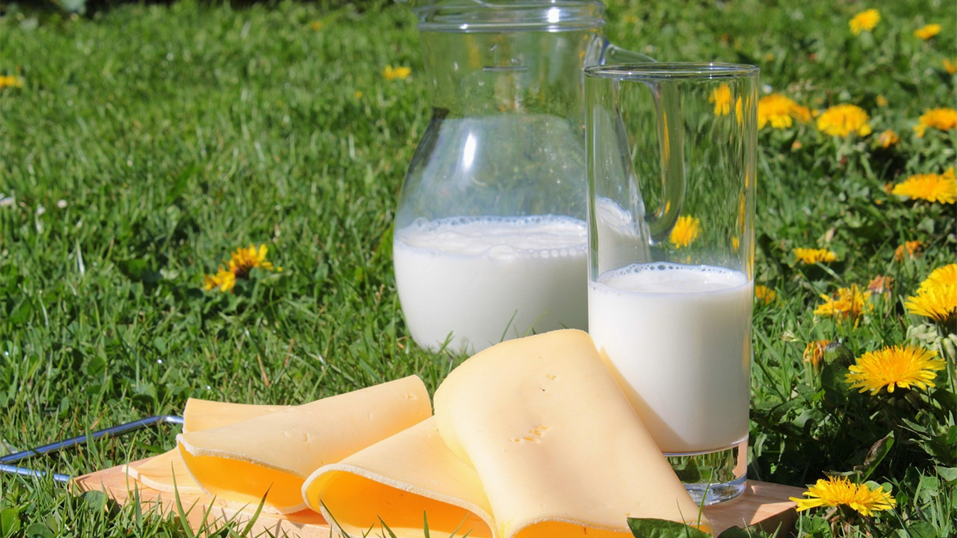 Desayuno saludable con queso en lonchas y leche